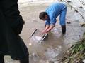 اولین گزارش از بررسی پلانکتونی دریاچه سد کارده در خراسان رضوی